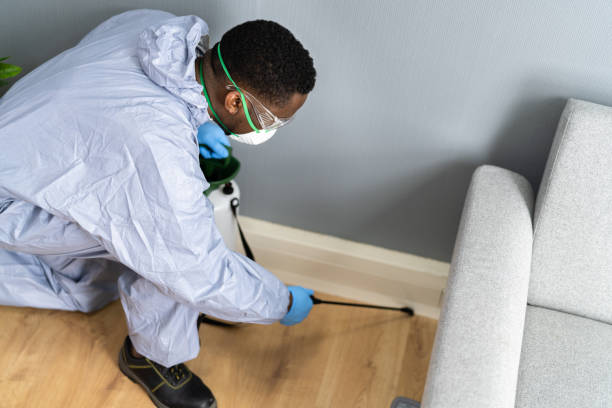 Real Estate Pest Inspections in Nedrow, NY